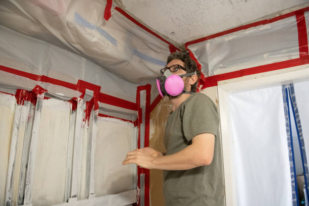 Best Environmental Consulting for Mold Prevention  in Buchanan Dam, TX