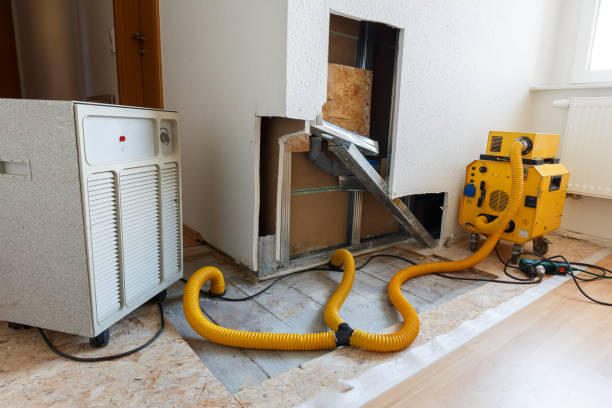 Best Mold Removal for HVAC Installations  in Buchanan Dam, TX