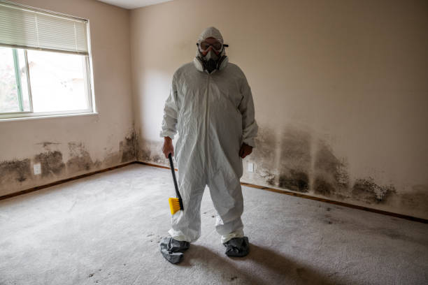 Best Mold Prevention Services  in Buchanan Dam, TX